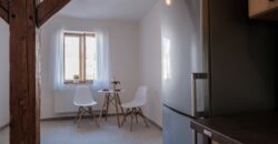 Pronájem mezonetového bytu 4+1 164m2 na Vinohradech