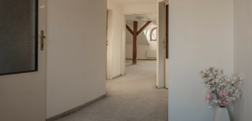 Pronájem mezonetového bytu 4+1 164m2 na Vinohradech