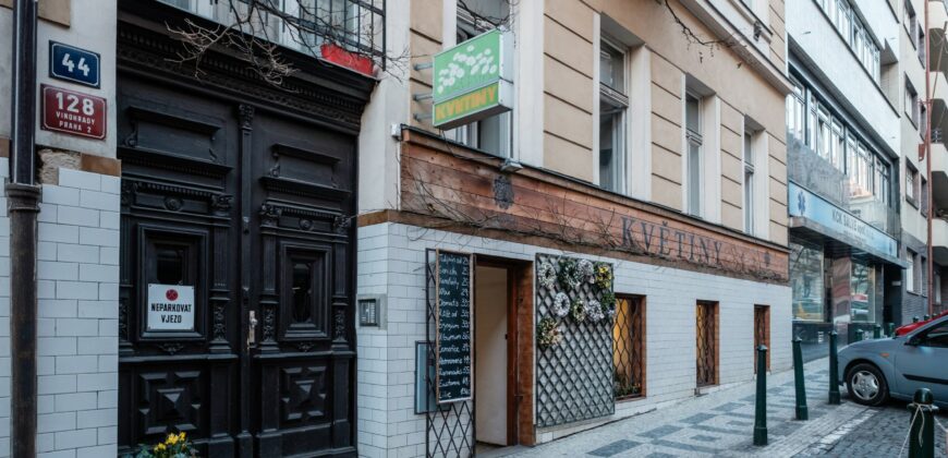 Pronájem mezonetového bytu 4+1 164m2 na Vinohradech