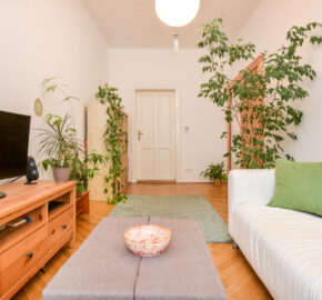 Pronájem bytu 2+1 52m2 na Vinohradech