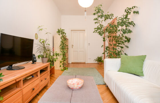Pronájem bytu 2+1 52m2 na Vinohradech
