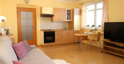 Pronájem bytu 1+kk 34m2 v pražských Kobylisích