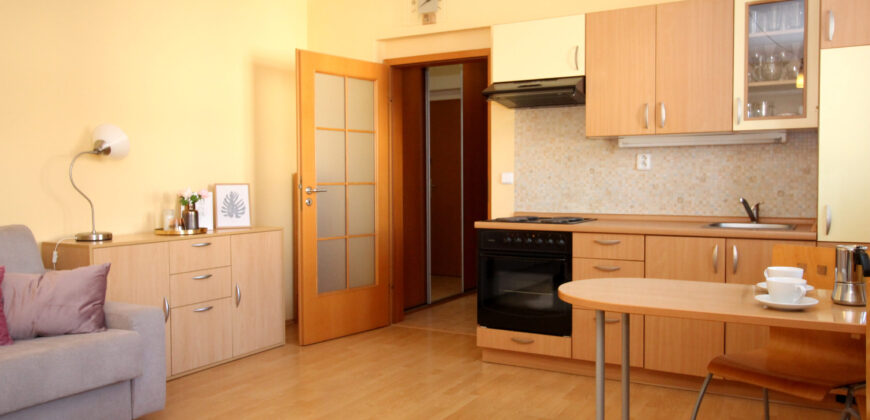 Pronájem bytu 1+kk 34m2 v pražských Kobylisích